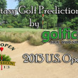 Fantasy Golf Predictions - 2013 US Open