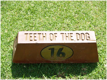 Teeth of the Dog Golf Course 1