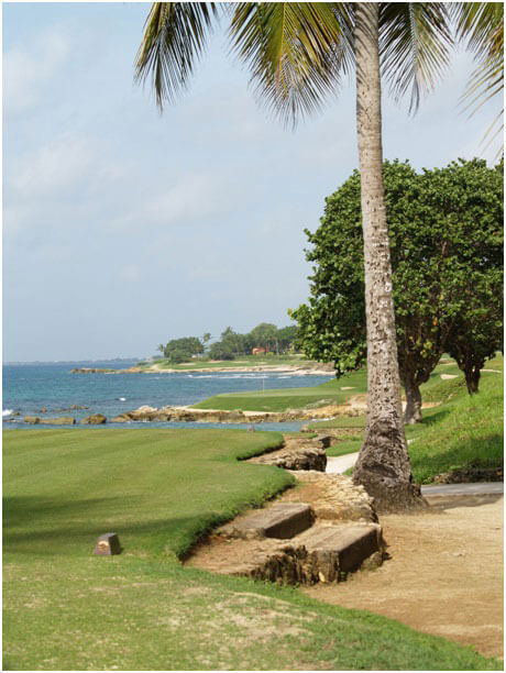 Teeth of the Dog Golf Course 2