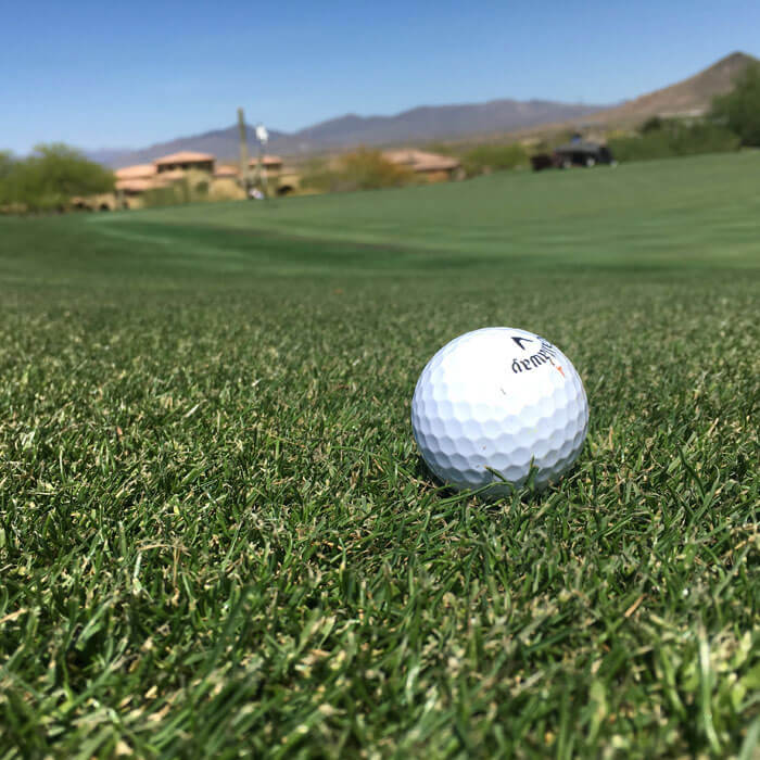 Troon North Golf Club 2