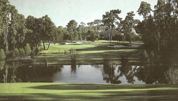 Fantasy Golf Predictions - 2013 Tampa Bay Championship