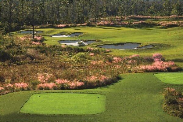 The Preserve Golf Club #16 Par 3