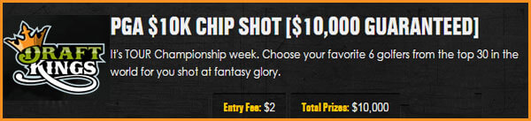 TOUR Championship by Coca-Cola Fantasy Golf Leagues