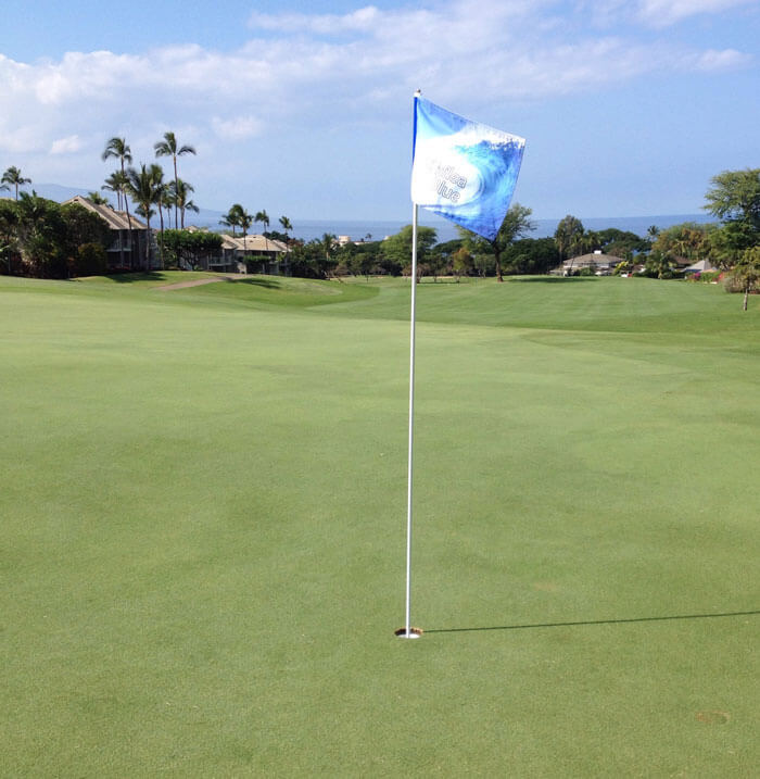 Wailea Blue Course Review