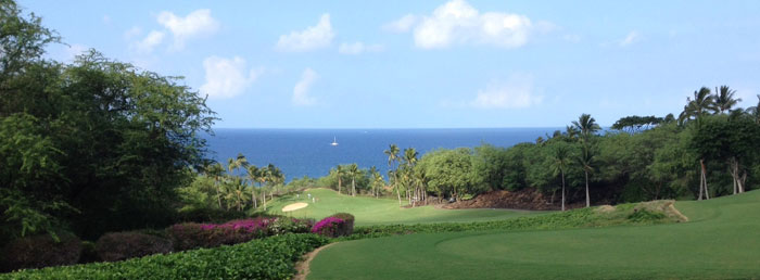 Wailea Emerald Gold a Fun Golfing Combination