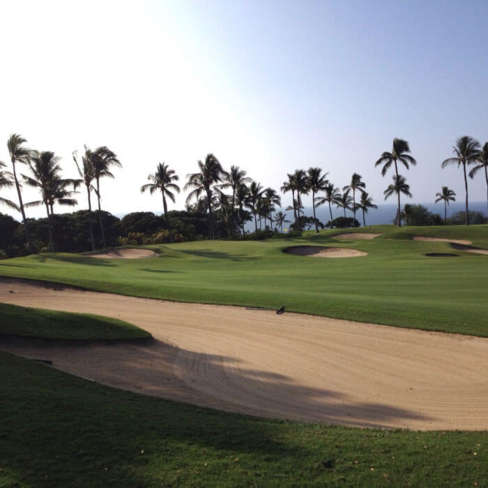 Wailea Emerald Gold a Fun Golfing Combination