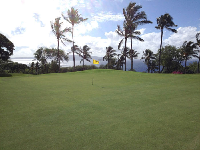 Wailea Emerald Gold a Fun Golfing Combination