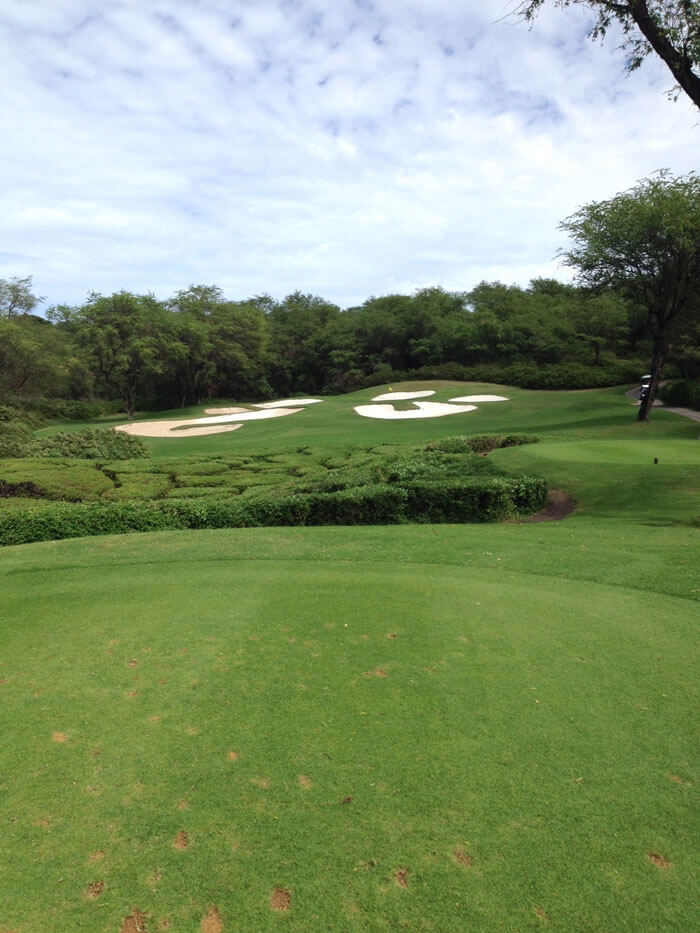 Wailea Emerald Gold a Fun Golfing Combination