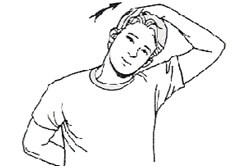 Image result for neck stretches