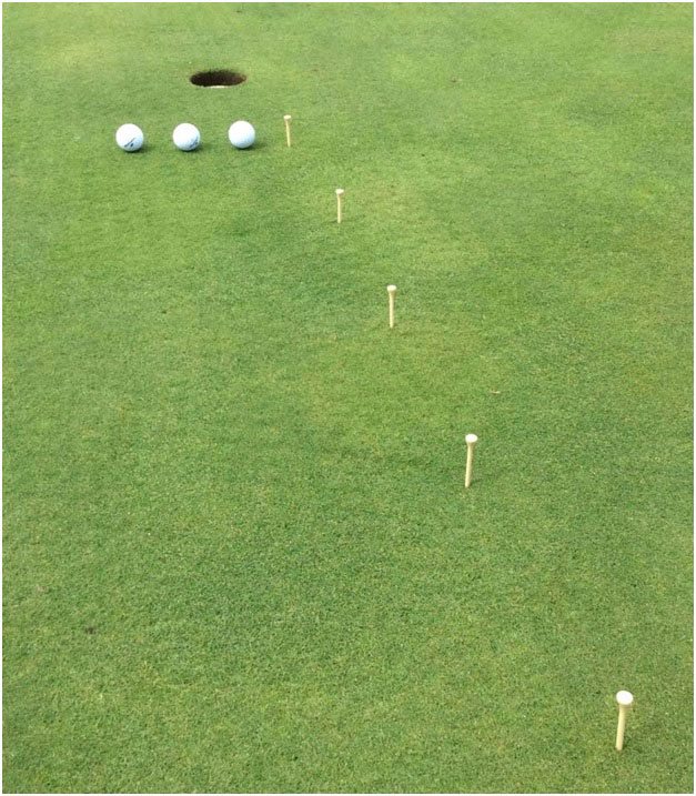 Five Feet to Glory 1