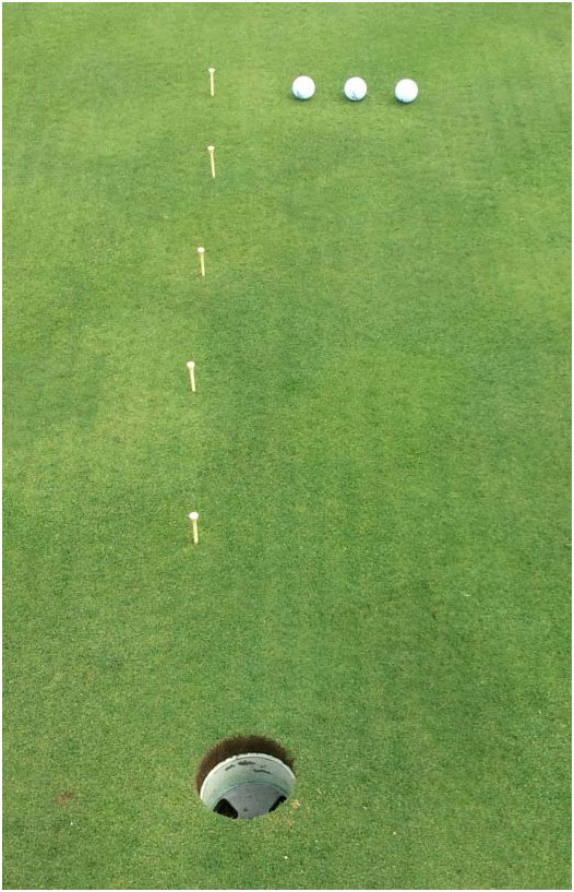 Five Feet to Glory 2