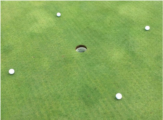 Five Feet to Glory 3