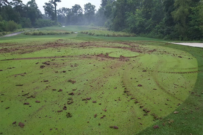 Golf Club of Houston Vandalized