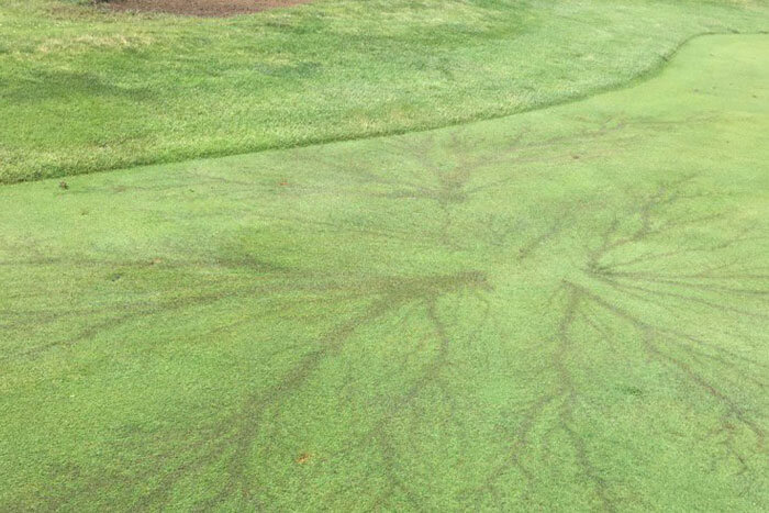 Lightning-Strikes-Golf-Course