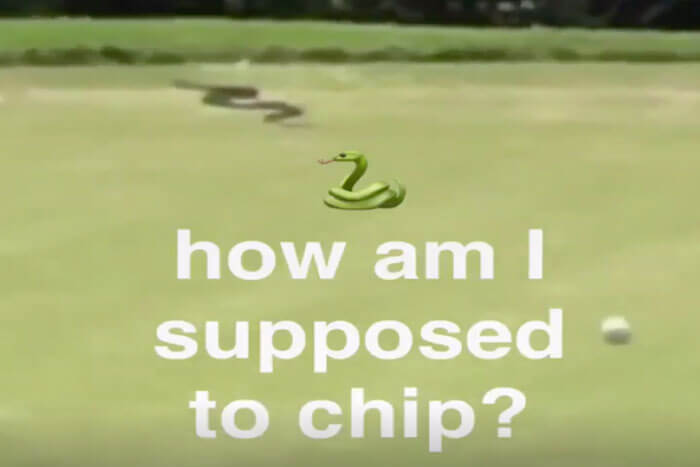 Smylie-Kaufman-Deals-with-Snake-on-Course