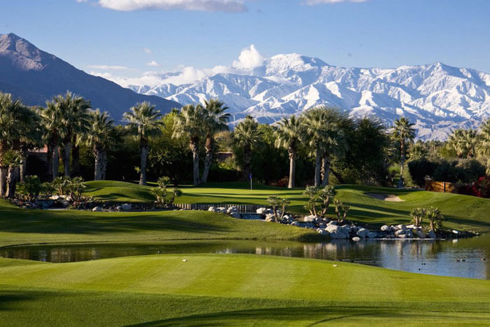 Golf Course Racist Trees