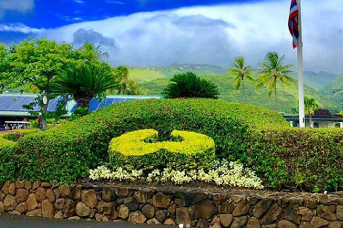 Fantasy Golf Sleeper Report 2019 Sony Open