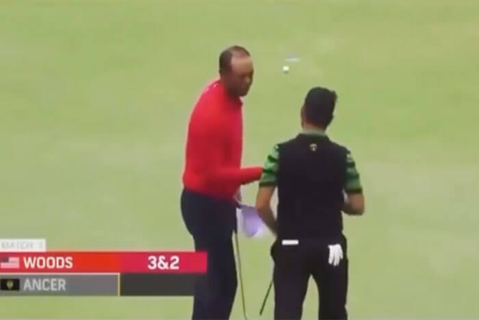 Tiger Viral clip