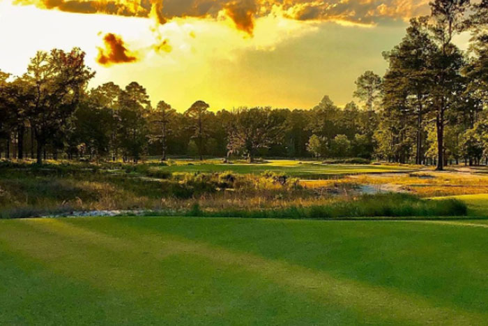 Fantasy Golf Picks Odds and Predictions 2021 Palmetto Championship