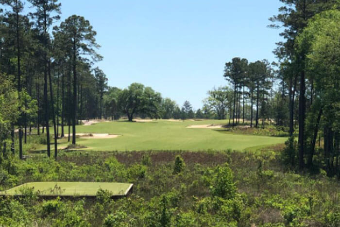 Fantasy Golf Sleeper Report 2021 Palmetto Championship