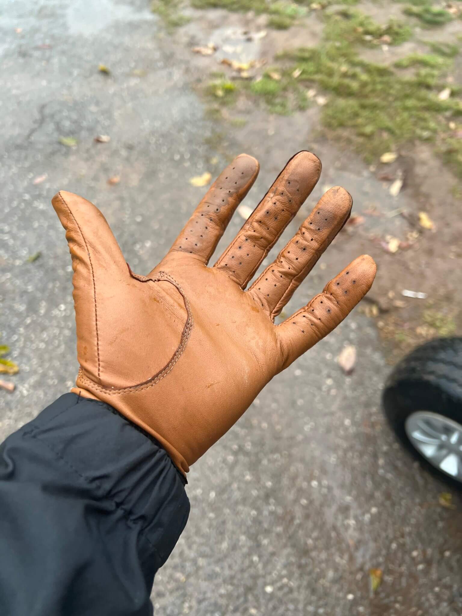 REVIEW The Four Best Golf Gloves You Can Buy On Any Budget and For Any